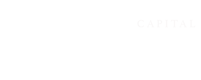 D&M Capital Investment
